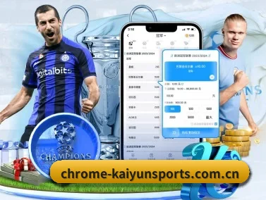 开云体育app登录入口 APP 界面