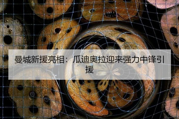 曼城新援亮相：瓜迪奥拉迎来强力中锋引援