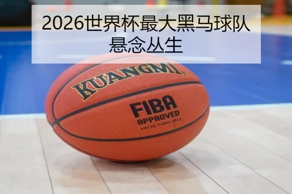 2026世界杯最大黑马球队悬念丛生